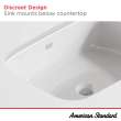 Aspirations Under Counter Sink, 1607000.020