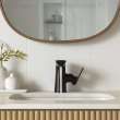 Aspirations Under Counter Sink, 1607000.020