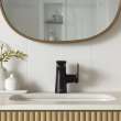 Aspirations Under Counter Sink, 1607000.020