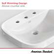 Aspirations Above Counter Sink With 8-Inch Centers, 1642008.020