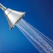 FloWise Transitional 2.0 gpm/7.6 L/min Water-Saving Fixed Showerhead, 1660717.002
