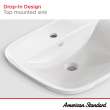 Aspirations Drop-In Sink Center Hole Only, 1721001.020