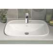 Aspirations Drop-In Sink Center Hole Only, 1721001.020