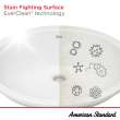 Aspirations Vanity Top Center Hole Only, 1806001.020