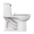 Champion(R) 4 One-Piece 1.6 gpf/6.0 Lpf Standard Height Elongated Toilet With Seat, 2004314.020