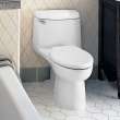 Champion(R) 4 One-Piece 1.6 gpf/6.0 Lpf Chair Height Elongated Toilet With Seat, 2034314.020