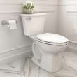 Edgemere(R) Two-Piece 1.28 gpf/4.8 Lpf Chair-Height Elongated Toilet Less Seat, 204AA104.020