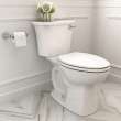 Edgemere(R) Two-Piece 1.28 gpf/4.8 Lpf Chair-Height Elongated Right-Hand Trip Lever Toilet Less Seat, 204AA105.020