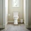 Edgemere(R) Two-Piece Dual Flush 1.6 gpf/6.0 Lpf and 1.1 gpf/4.2 Lpf Chair-Height Elongated Toilet Less Seat, 204AA200.020