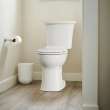 Edgemere(R) Two-Piece Dual Flush 1.6 gpf/6.0 Lpf and 1.1 gpf/4.2 Lpf Chair-Height Elongated Toilet Less Seat, 204AA200.020