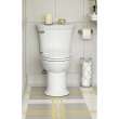 Heritage VorMax(R) Two-Piece 1.28 gpf/4.8 Lpf Chair Height Elongated Toilet Less Seat, 205AA104.020