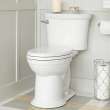 Heritage VorMax(R) Two-Piece 1.28 gpf/4.8 Lpf Chair Height Elongated Toilet Less Seat, 205AA104.020