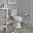 211AA.104.020 Champion Pro 1.28 GPF 2-Piece Elongated Toilet With 12-In Rough-In
