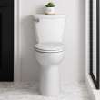 Cadet(R) PRO Two-Piece 1.28 gpf/4.8 Lpf Extra Tall Height Elongated Toilet Less Seat, 215TA104.020