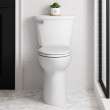 Cadet(R) PRO Two-Piece 1.28 gpf/4.8 Lpf Extra Tall Height Elongated 10-Inch Rough Toilet Less Seat, 215TB104.020