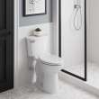 Cadet(R) PRO Two-Piece 1.28 gpf/4.8 Lpf Extra Tall Height Elongated 10-Inch Rough Toilet Less Seat, 215TB104.020