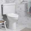 Triangle Cadet(R) PRO Two-Piece 1.28 gpf/4.8 Lpf Chair Height Elongated Toilet, 216AD104.020