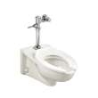 Afwall(R) Millennium(R) 1.1 - 1.6 gpf (4.2 - 6.0 Lpf) Top Spud Elongated Wall-Hung Bowl, 2257101.020