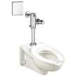 Afwall(R) Millennium(R) 1.1 - 1.6 gpf (4.2 - 6.0 Lpf) Top Spud Elongated Wall-Hung Bowl, 2257101.020