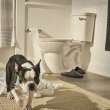 VorMax(R) Two-Piece 1.28 gpf/4.8 Lpf Chair Height Elongated Right-Hand Trip Lever Toilet Less Seat, 238AA105.020