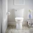 VorMax(R) Two-Piece 1.0 gpf/3.8 Lpf Chair Height Elongated Toilet Less Seat, 238AA114.020