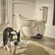 VorMax(R) Two-Piece 1.0 gpf/3.8 Lpf Chair Height Right-Hand Trip Lever Elongated Toilet Less Seat, 238AA115.020