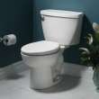 Cadet(R) Two-Piece Pressure Assist 1.1 gpf/4.2 Lpf Elongated EverClean(R) Toilet, 2462100.020