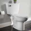 Cadet(R) Two-Piece Pressure Assist 1.1 gpf/4.2 Lpf Chair Height Elongated EverClean(R) Toilet With Bedpan Lugs, 2467136.020