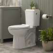 EcoStrength Aspiration Two-Piece 0.80 gpf/3 Lpf Chair Height Elongated Toilet Less Seat with RHTL, 250AA808.020