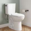 EcoStrength Aspirations Two-Piece 0.80 gpf/3 Lpf Chair Height Elongated Toilet Less Seat, 250AA809.020