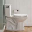 EcoStrength Aspirations Two-Piece 0.80 gpf/3 Lpf Chair Height Elongated Toilet Less Seat, 250AA809.020