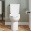 EcoStrength Aspirations Two-Piece 0.80 gpf/3 Lpf Chair Height Elongated Toilet Less Seat, 250AA809.020