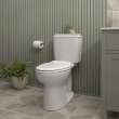 EcoStrength Aspirations Two-Piece 0.80 gpf/3 Lpf Chair Height Elongated Toilet Less Seat, 250AA809.020