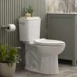 EcoStrength Aspirations Two-Piece 0.80 gpf/3 Lpf Chair Height Elongated Toilet Less Seat, 250AA809.020