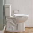 EcoStrength Aspirations Two-Piece 0.80 gpf/3 Lpf Chair Height Elongated Toilet Less Seat, 250AA809.020