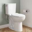 EcoStrength Aspirations Two-Piece 0.80 gpf/3 Lpf Chair Height Elongated Toilet Less Seat, 250AA809.020