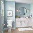 Colony(R)3 Two-Piece 1.6 gpf/6.0 Lpf Standard Height Elongated Toilet Less Seat, 250CA004.020