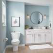 Colony(R)3 Two-Piece 1.6 gpf/6.0 Lpf Standard Height Round-Front Toilet Less Seat, 250DA004.020