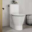 EcoStrength Aspiration Skirted Two-Piece 0.80 gpf/3.0 Lpf Chair-Height Elongated Toilet With Seat, 251AA809.020