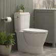 Cadet(R) Aspirations Skirted Two-Piece 1.28 gpf/4.8 Lpf Chair-Height Elongated Toilet With Seat, 252AA899.020