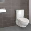 Glenwall(R) VorMax(R) Two-Piece 1.28 gpf/4.8 Lpf Back Outlet Elongated Wall-Hung EverClean(R) Toilet, 2882107.020
