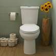 H2Option(R) Two-Piece Dual Flush 1.28 gpf/4.8 Lpf and 0.92 gpf/3.5 Lpf Chair Height Elongated Toilet Less Seat, 2886218.020