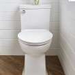 Townsend(R) VorMax(R) One-Piece 1.28 gpf/4.8 Lpf Chair Height Elongated Toilet with Seat, 2922A104.020