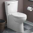 Cadet(R)3 FloWise Skirted Two-Piece 1.28 gpf/4.8 Lpf Chair Height Elongated Toilet With Seat, 2989101.020