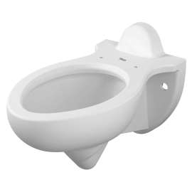 Rapidway 1.6 gpf/6.0 Lpf Back Spud Elongated Wall-Hung Bowl, 3445L101.020