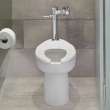 Madera 1.1 - 1.6 gpf (4.2 - 6.0 Lpf) Chair Height Back Spud Elongated EverClean(R) Bowl, 3463001.020