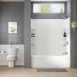 Princeton(R) PRO 60 x 32 x 60-inch Direct to Stud Subway Tile Bathtub Wall Set, 3962BWT60.020