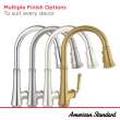 Delancey(R) Single-Handle Pull-Down Dual Spray Function Kitchen Faucet 1.5 gpm/5.7 L/min, 4279300.002