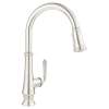 Delancey(R) Single-Handle Pull-Down Dual Spray Function Kitchen Faucet 1.5 gpm/5.7 L/min, 4279300.013