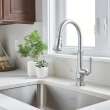 Delancey(R) Single-Handle Pull-Down Dual Spray Function Kitchen Faucet 1.5 gpm/5.7 L/min, 4279300.075